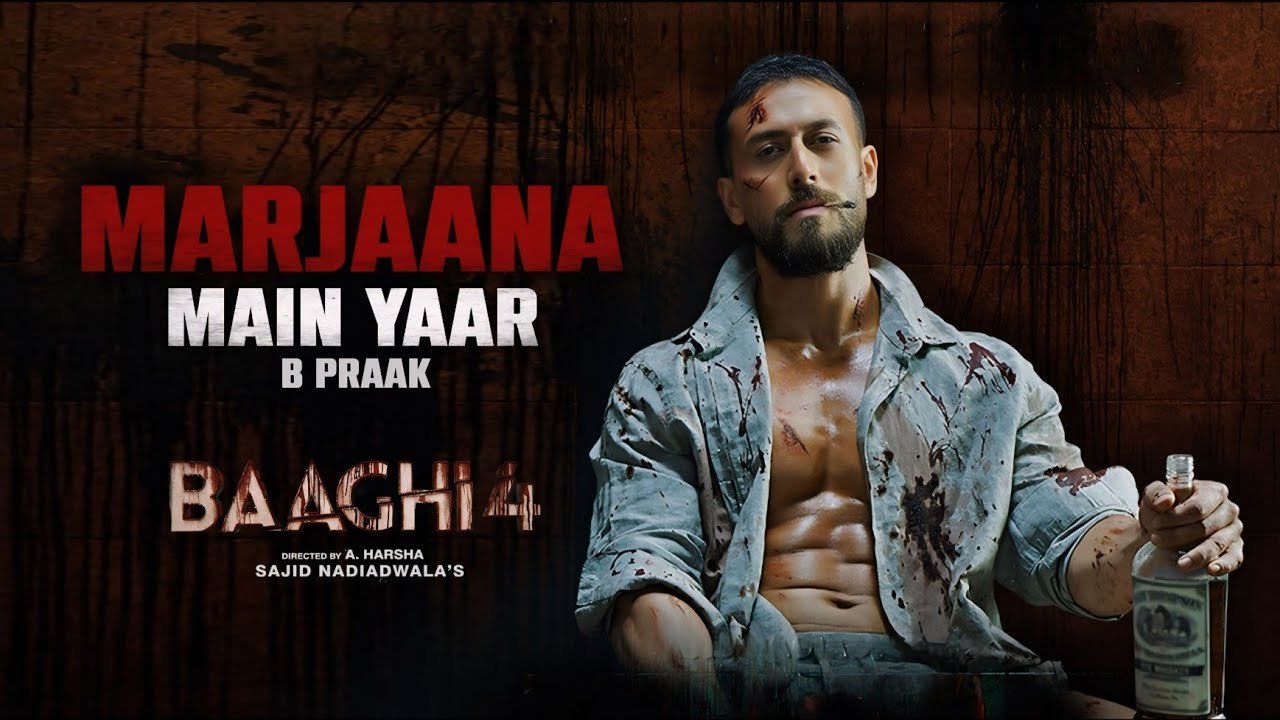 Marjaana Lyrics English Translation - Baaghi 4 | B Praak - A2Z Lyrics ...